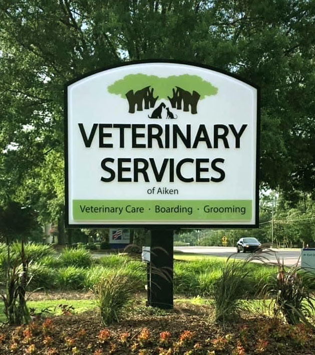 Aiken SC veterinary hospital