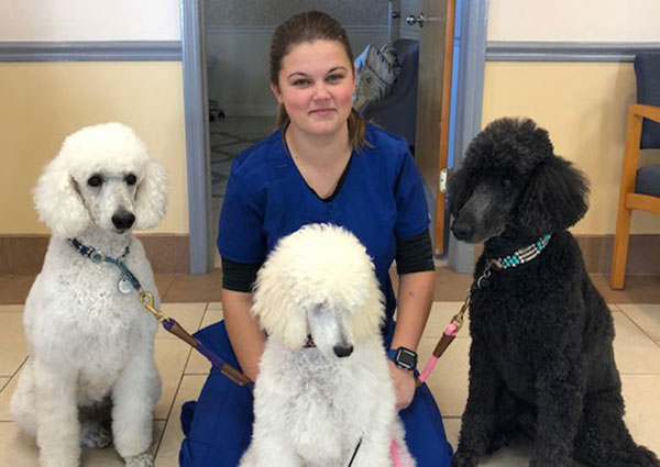 Dog veterinary care in Aiken